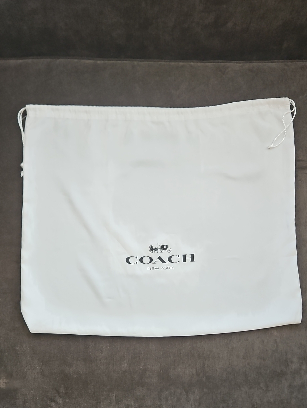 Coach Dust Bag- Large - Picture 3 of 5